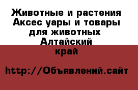 Животные и растения Аксесcуары и товары для животных. Алтайский край